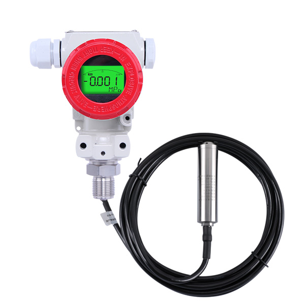 （帶顯示）2088殼體投入式液位計(jì)